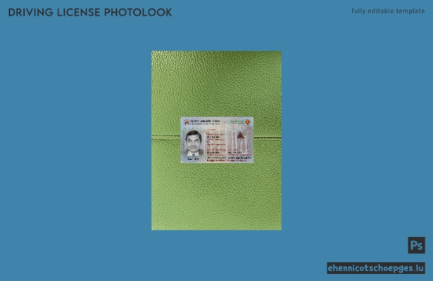Beispielansicht des Fotos für den nicht-professionellen Kraftfahrzeugführerschein in Bangladesch (2024–heute)